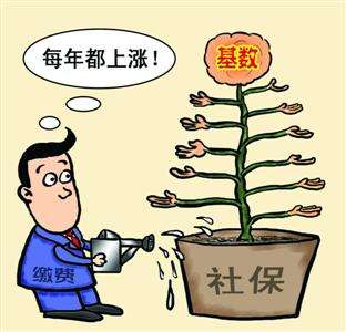個人和單位繳納的社保，待遇會有什么區別？ 第1張