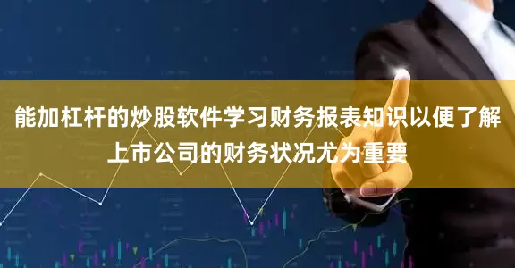 能加杠杆的炒股软件学习财务报表知识以便了解上市公司的财务状况尤为重要