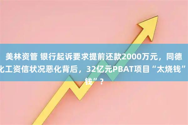 美林资管 银行起诉要求提前还款2000万元，同德化工资信状况恶化背后，32亿元PBAT项目“太烧钱”？