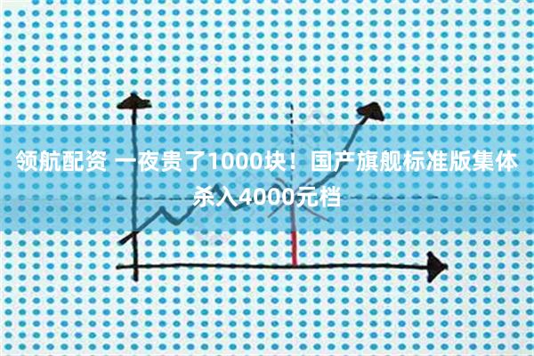 领航配资 一夜贵了1000块！国产旗舰标准版集体杀入4000元档