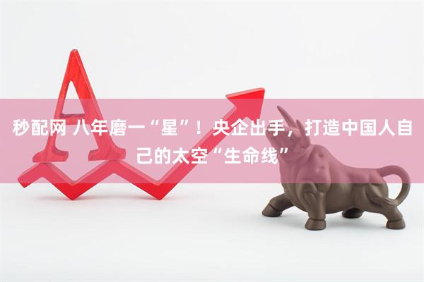 秒配网 八年磨一“星”！央企出手，打造中国人自己的太空“生命线”