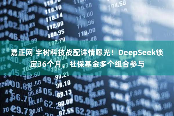 嘉正网 宇树科技战配详情曝光!DeepSeek锁定36个月,社保基金多个组合参与